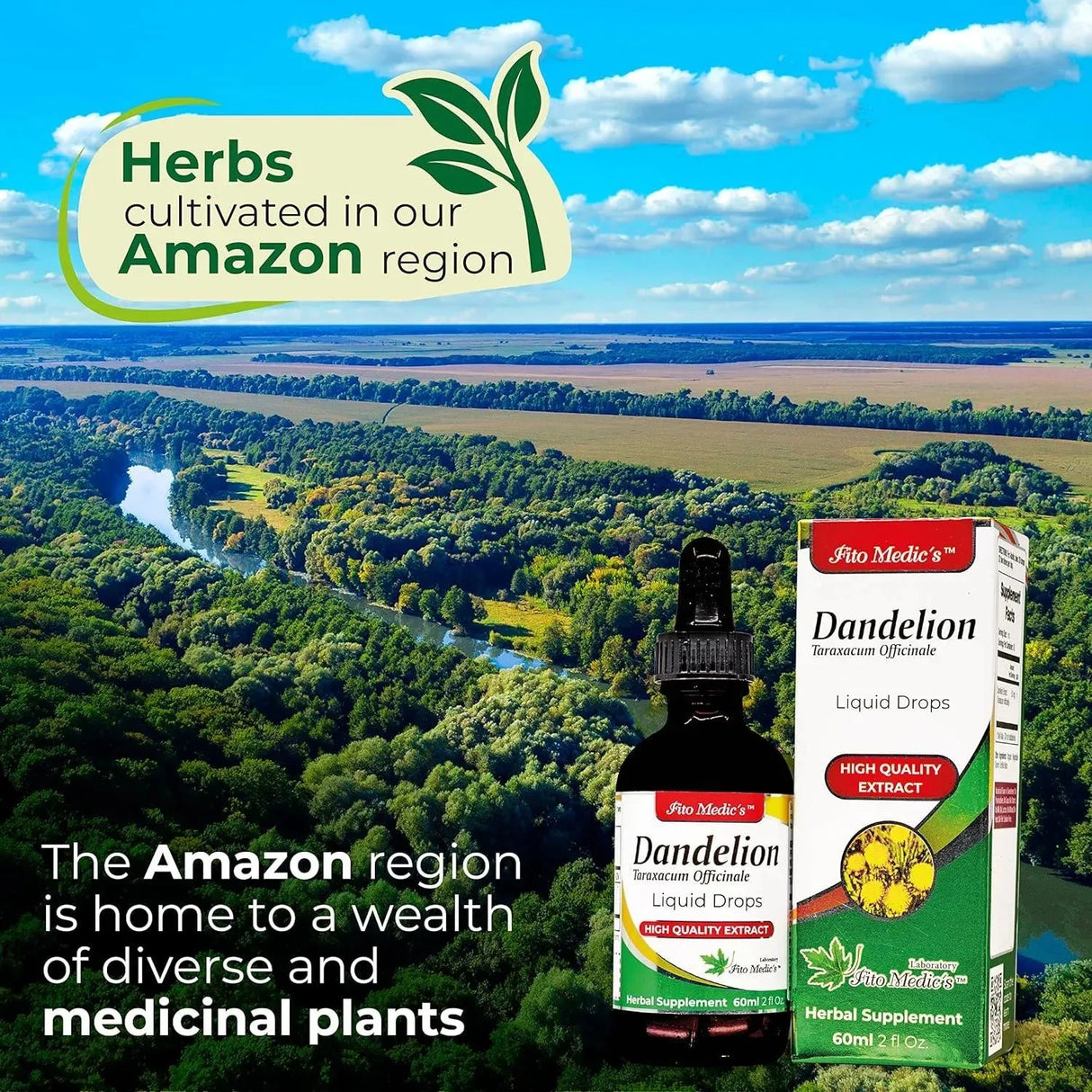 FITO MEDIC´S - FITO MEDIC'S Dandelion Tincture 60Ml. - The Red Vitamin MX - Suplementos Alimenticios - {{ shop.shopifyCountryName }}