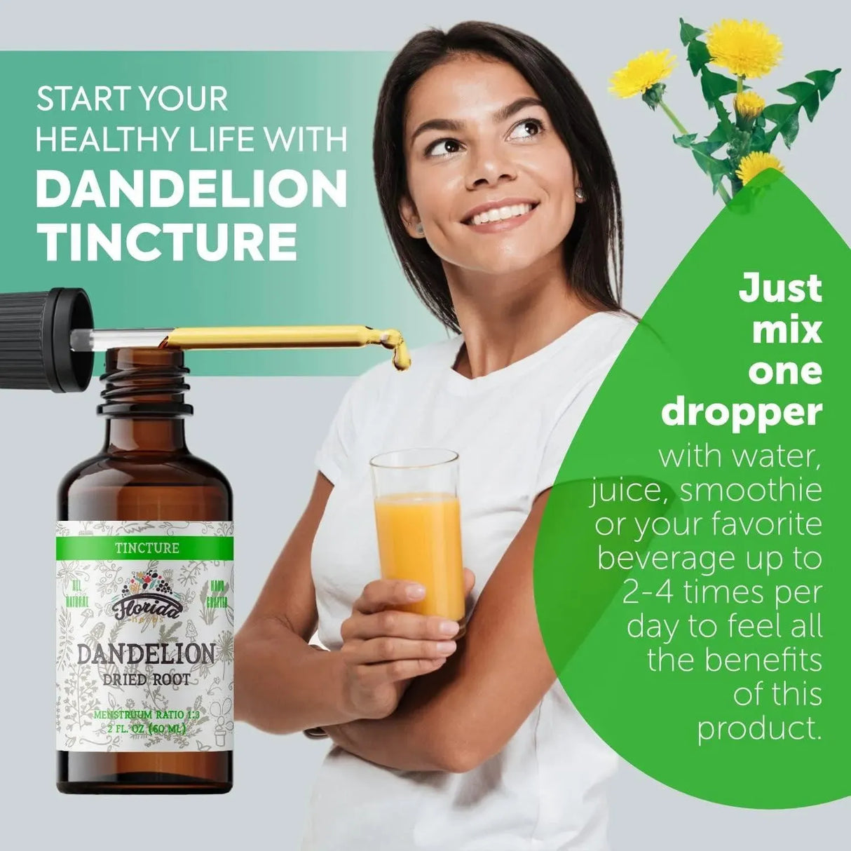 FLORIDA HERBS - Florida Herbs Dandelion Root Tincture 60Ml. - The Red Vitamin MX - Suplementos Alimenticios - {{ shop.shopifyCountryName }}