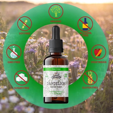 FLORIDA HERBS - Florida Herbs Dandelion Root Tincture 60Ml. - The Red Vitamin MX - Suplementos Alimenticios - {{ shop.shopifyCountryName }}