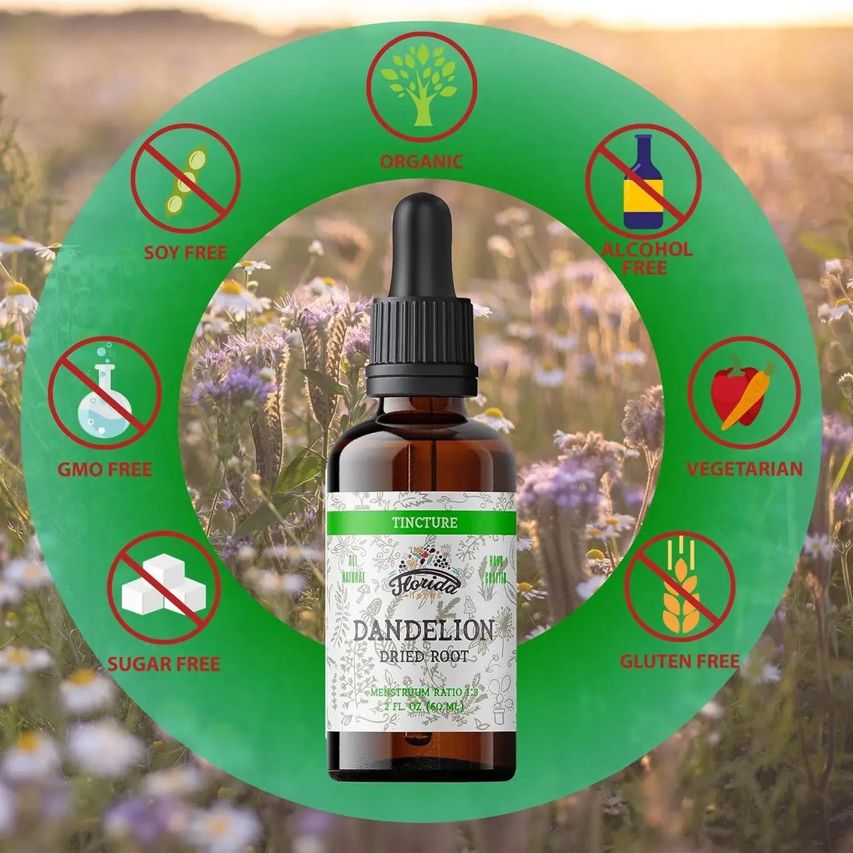 FLORIDA HERBS - Florida Herbs Dandelion Root Tincture 60Ml. - The Red Vitamin MX - Suplementos Alimenticios - {{ shop.shopifyCountryName }}