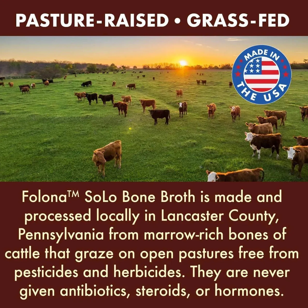 FOLONA - Folona Solo Bone Broth Protein Powder 454Gr. - The Red Vitamin MX - Suplementos Alimenticios - {{ shop.shopifyCountryName }}