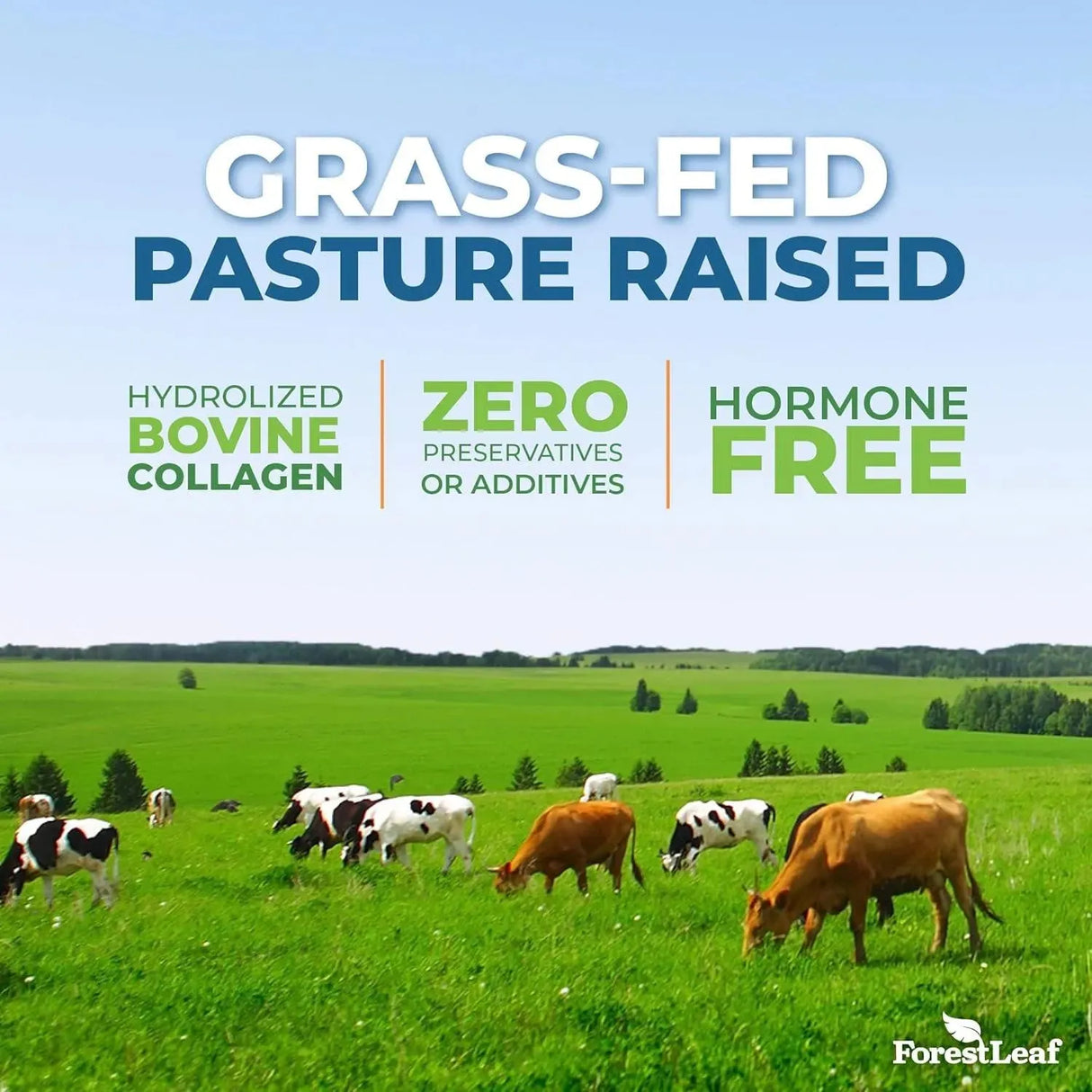 FOREST LEAF - ForestLeaf Multi Collagen Pills with Hyaluronic Acid + Vitamin C 120 Capsulas - The Red Vitamin MX - Suplementos Alimenticios - {{ shop.shopifyCountryName }}