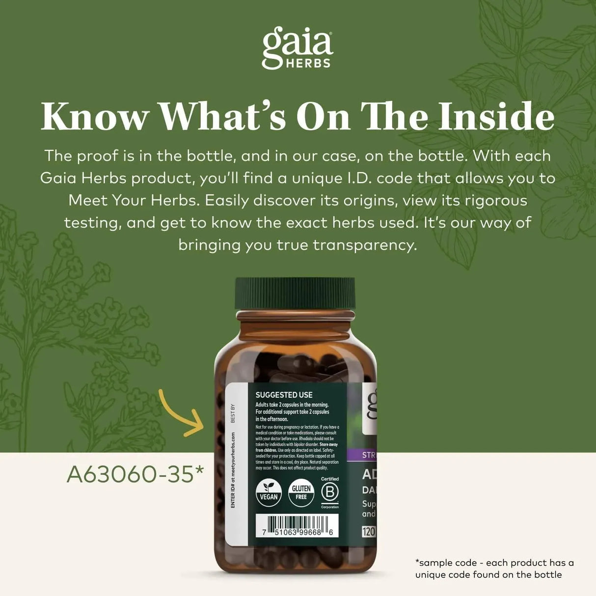 GAIA HERBS - Gaia Herbs Ashwagandha Root 120 Capsulas - The Red Vitamin MX - Suplementos Alimenticios - {{ shop.shopifyCountryName }}