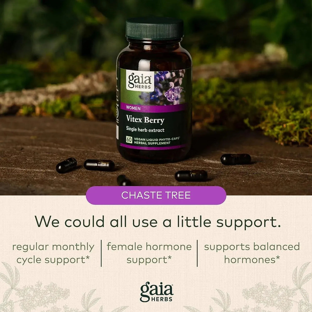 GAIA HERBS - Gaia Herbs Baya Casto Berry 60 Capsulas - The Red Vitamin MX - Suplementos Alimenticios - {{ shop.shopifyCountryName }}