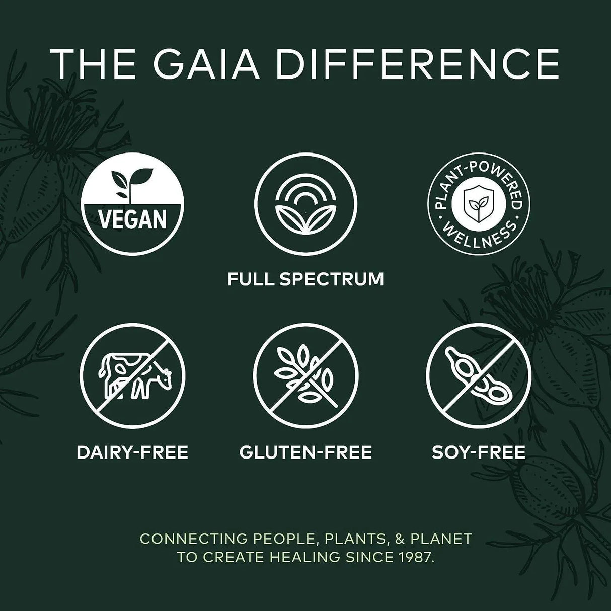 GAIA HERBS - Gaia Herbs Black Seed Oil 60 Capsulas - The Red Vitamin MX - Suplementos Alimenticios - {{ shop.shopifyCountryName }}