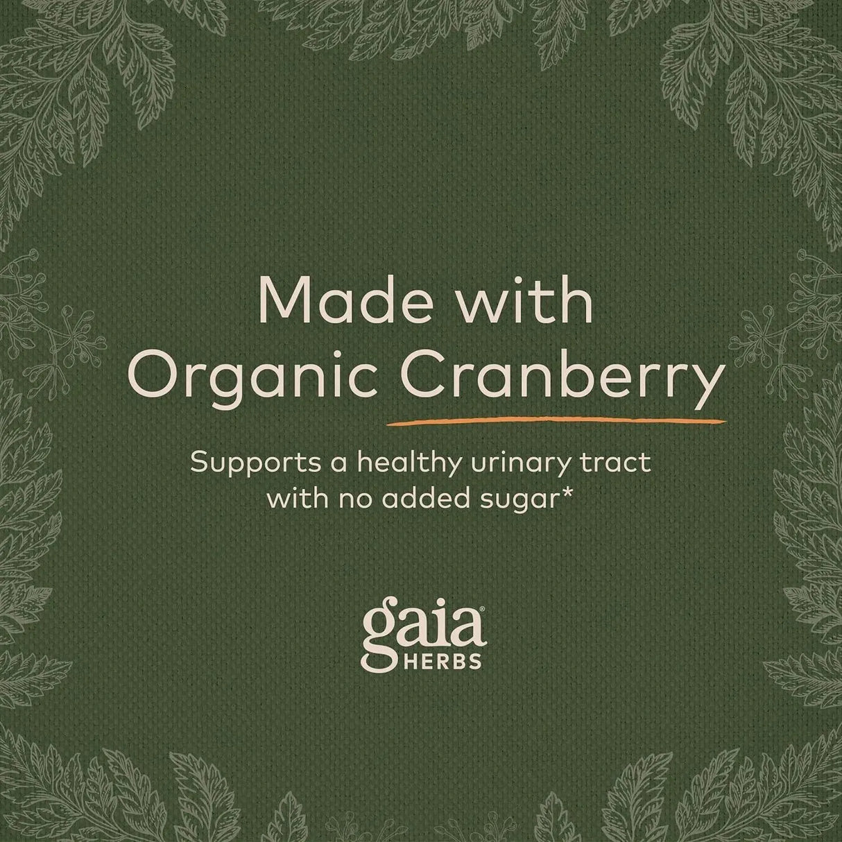 GAIA HERBS - Gaia Herbs Cranberry Concentrate 60 Capsulas - The Red Vitamin MX - Suplementos Alimenticios - {{ shop.shopifyCountryName }}