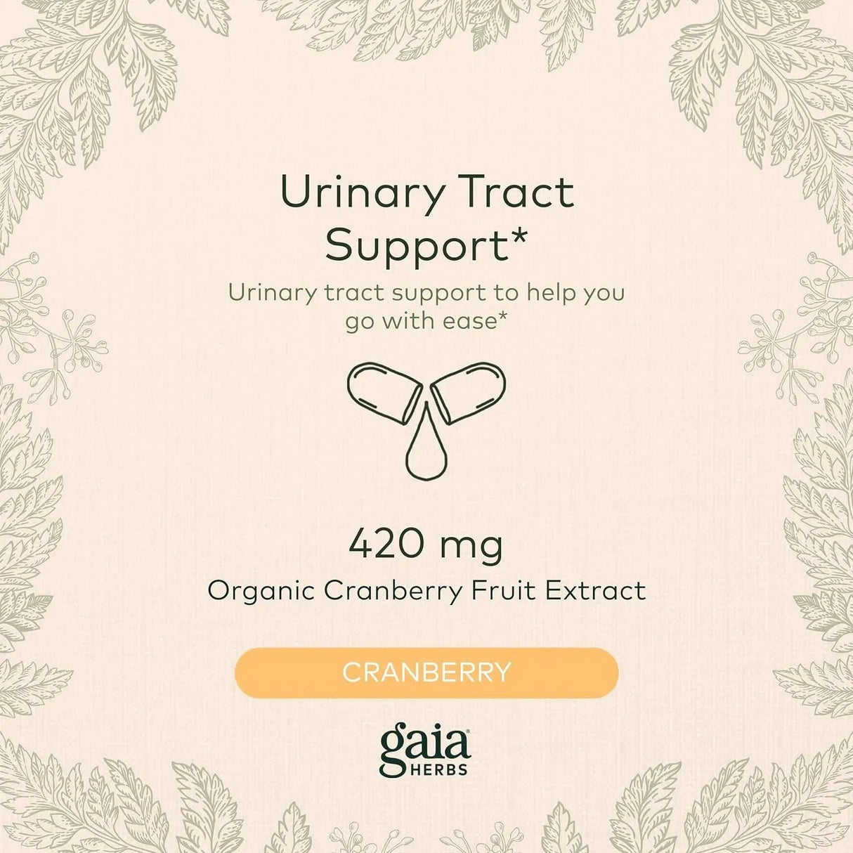 GAIA HERBS - Gaia Herbs Cranberry Concentrate 60 Capsulas - The Red Vitamin MX - Suplementos Alimenticios - {{ shop.shopifyCountryName }}