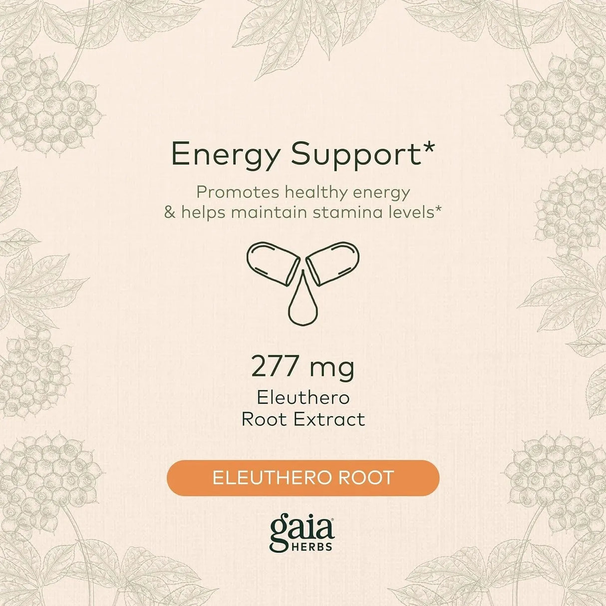 GAIA HERBS - Gaia Herbs Eleuthero Root 60 Capsulas - The Red Vitamin MX - Suplementos Alimenticios - {{ shop.shopifyCountryName }}