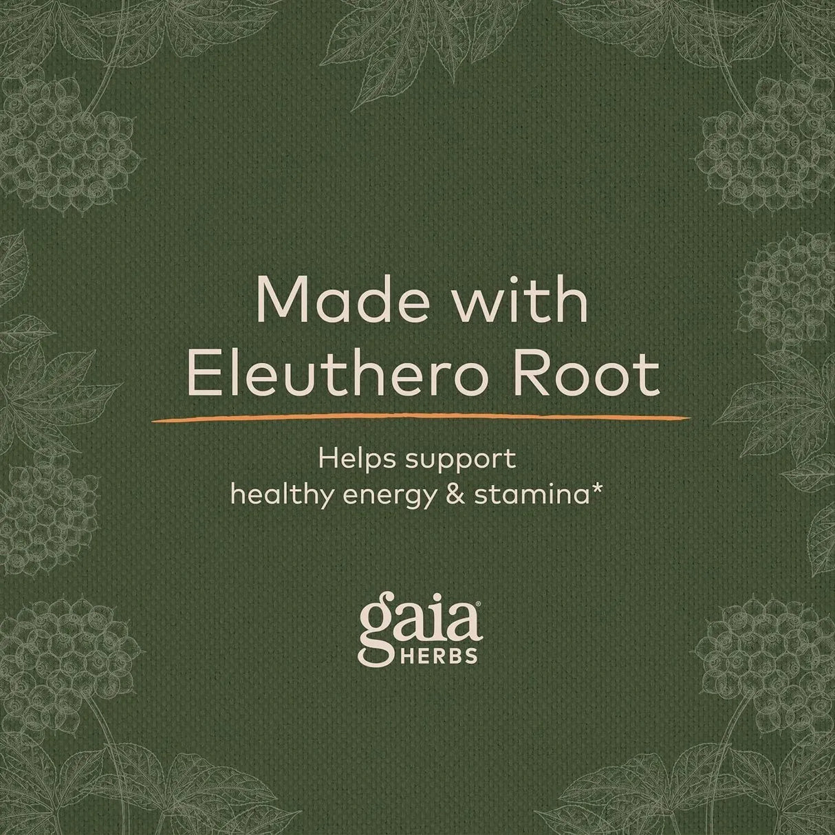 GAIA HERBS - Gaia Herbs Eleuthero Root 60 Capsulas - The Red Vitamin MX - Suplementos Alimenticios - {{ shop.shopifyCountryName }}