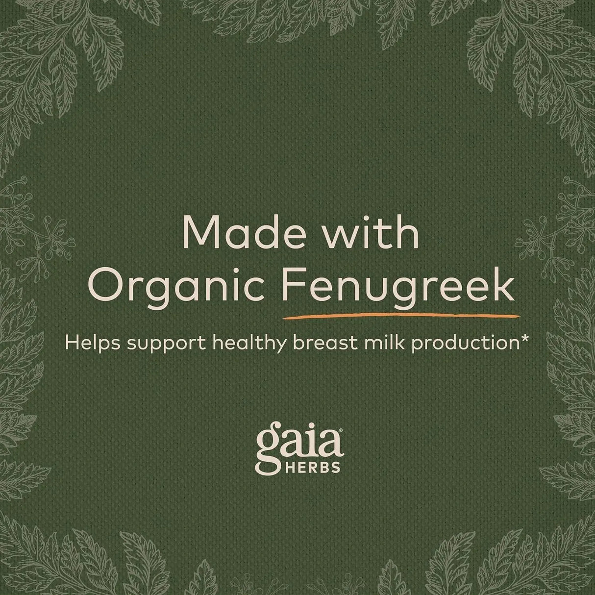 GAIA HERBS - Gaia Herbs Fenugreek Seed 60 Capsulas - The Red Vitamin MX - Suplementos Alimenticios - {{ shop.shopifyCountryName }}