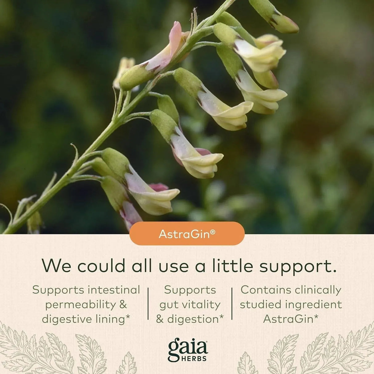 GAIA HERBS - Gaia Herbs Gut Revival 60 Capsulas - The Red Vitamin MX - Suplementos Alimenticios - {{ shop.shopifyCountryName }}