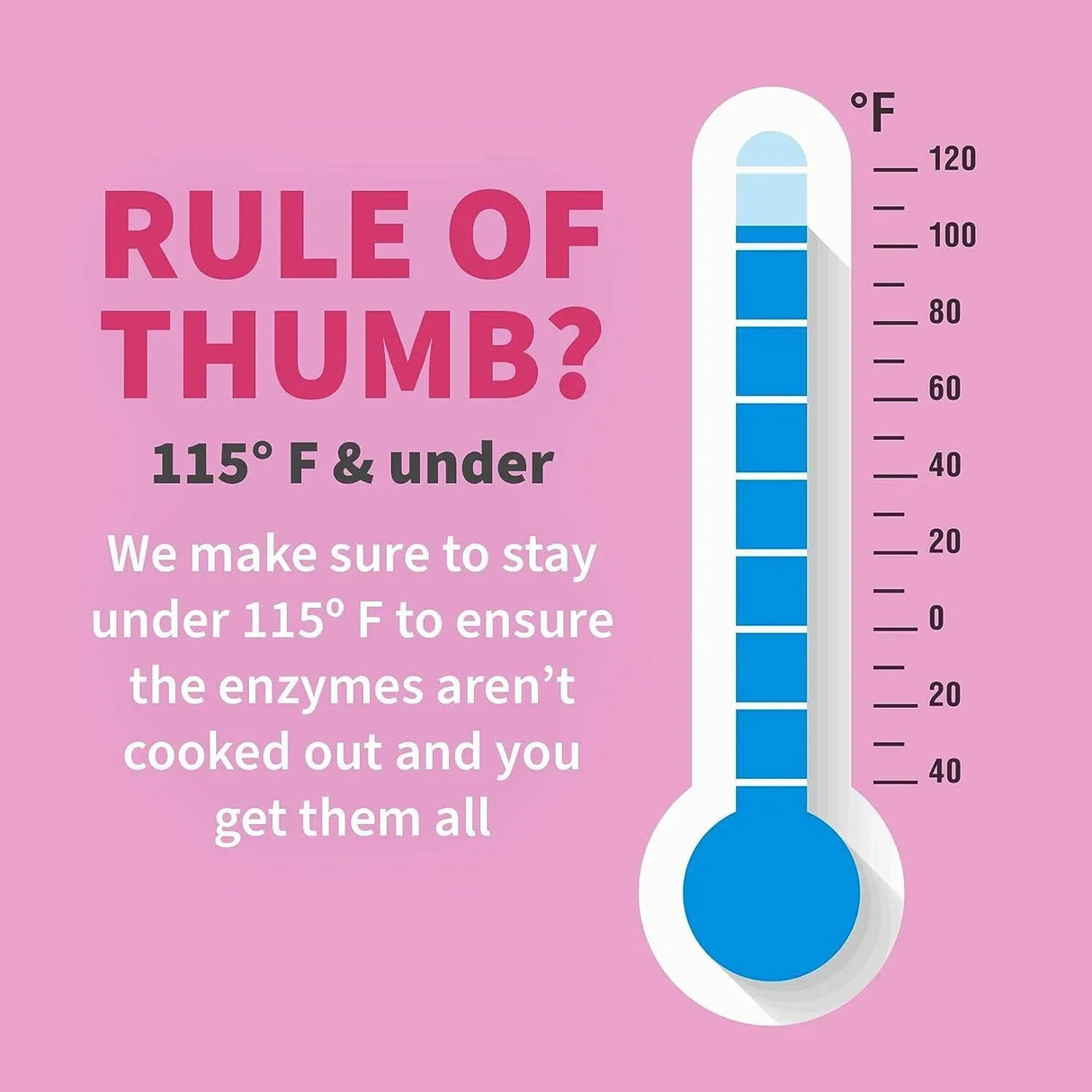 GARDEN OF LIFE - Garden of Life 22 Digestive Enzymes for Women 90 Capsulas - The Red Vitamin MX - Suplementos Alimenticios - {{ shop.shopifyCountryName }}