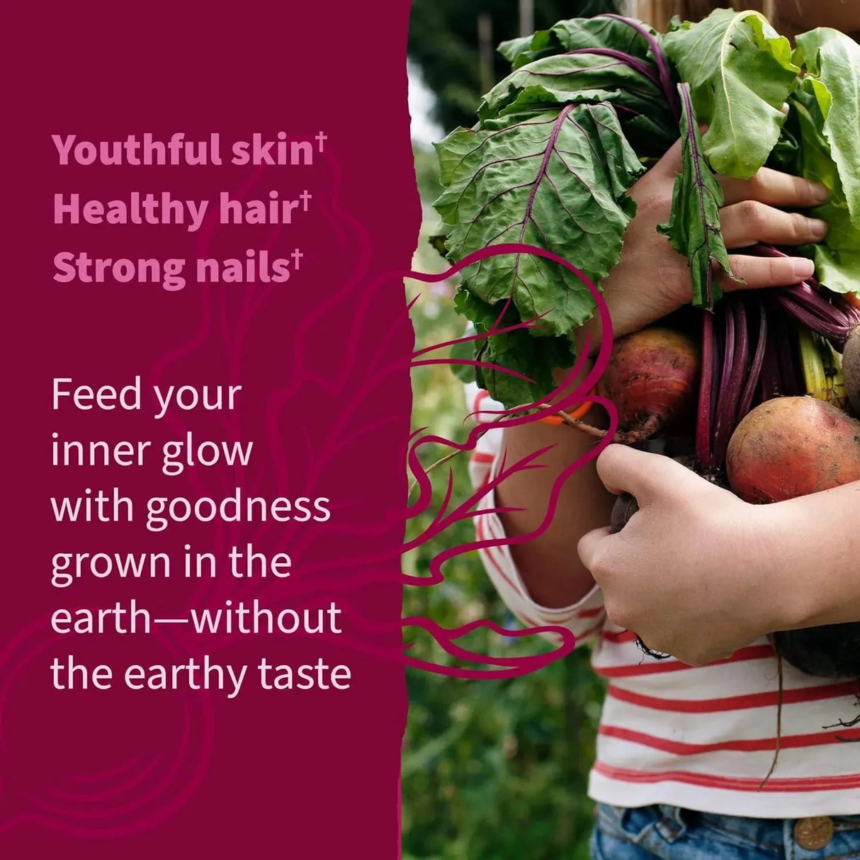 GARDEN OF LIFE - Garden of Life Organic Beet Root Gummies 60 Gomitas - The Red Vitamin MX - Suplementos Alimenticios - {{ shop.shopifyCountryName }}