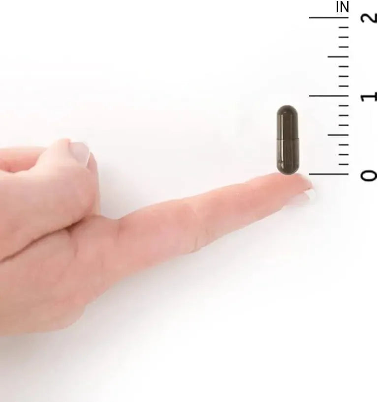 GARDEN OF LIFE - Garden of Life Primal Defense Ultra Ultimate Probiotic Formula 60 Capsulas - The Red Vitamin MX - Suplementos Alimenticios - {{ shop.shopifyCountryName }}