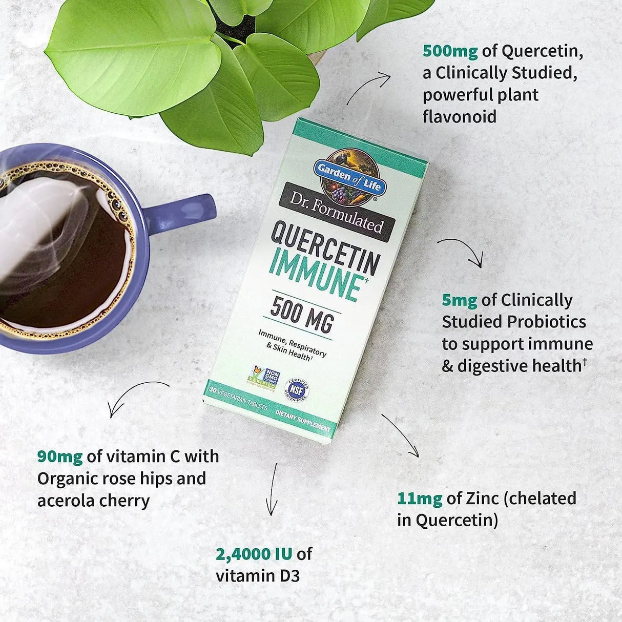 GARDEN OF LIFE - Garden of Life Quercetin 500Mg. 30 Tabletas - The Red Vitamin MX - Suplementos Alimenticios - {{ shop.shopifyCountryName }}