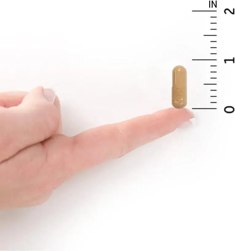 GARDEN OF LIFE - Garden of Life RAW Probiotics Vaginal Care Shelf Stable 30 Capsulas - The Red Vitamin MX - Suplementos Alimenticios - {{ shop.shopifyCountryName }}