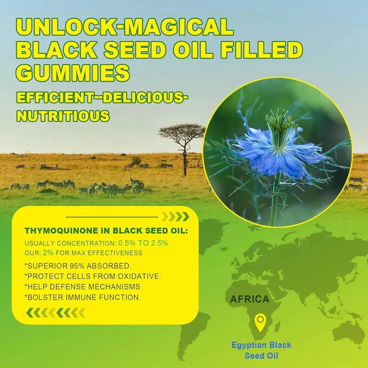 GUMMIEJEL - GummieJel Black Seed Oil Gummies 60 Gomitas - The Red Vitamin MX - Suplementos Alimenticios - {{ shop.shopifyCountryName }}