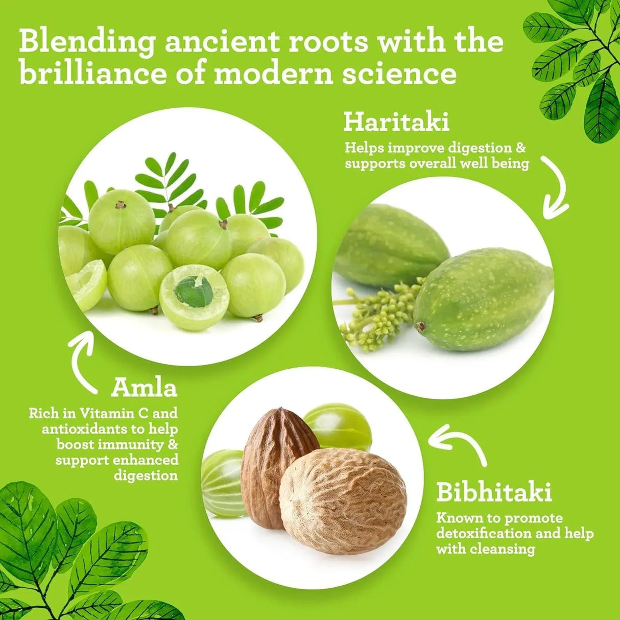 GURUNANDA - GuruNanda Digestiva Triphala Supports Digestion 240 Tabletas - The Red Vitamin MX - Suplementos Alimenticios - {{ shop.shopifyCountryName }}