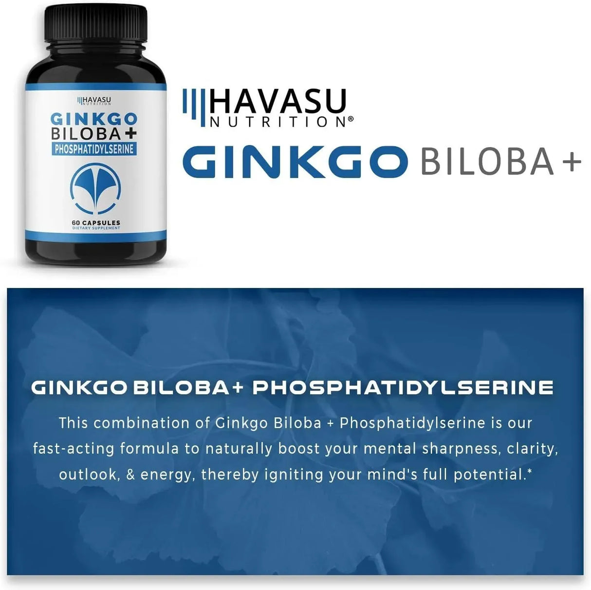 HAVA - HAVASU NUTRITION Ginkgo Biloba Non-GMO 120Mg. 60 Capsulas - The Red Vitamin MX - Suplementos Alimenticios - {{ shop.shopifyCountryName }}