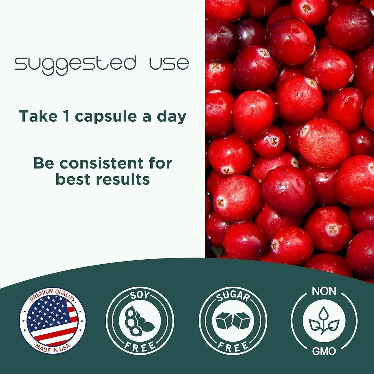 HEALE - Heale CranCap Cranberry Pills 30 Capsulas - The Red Vitamin MX - Suplementos Alimenticios - {{ shop.shopifyCountryName }}