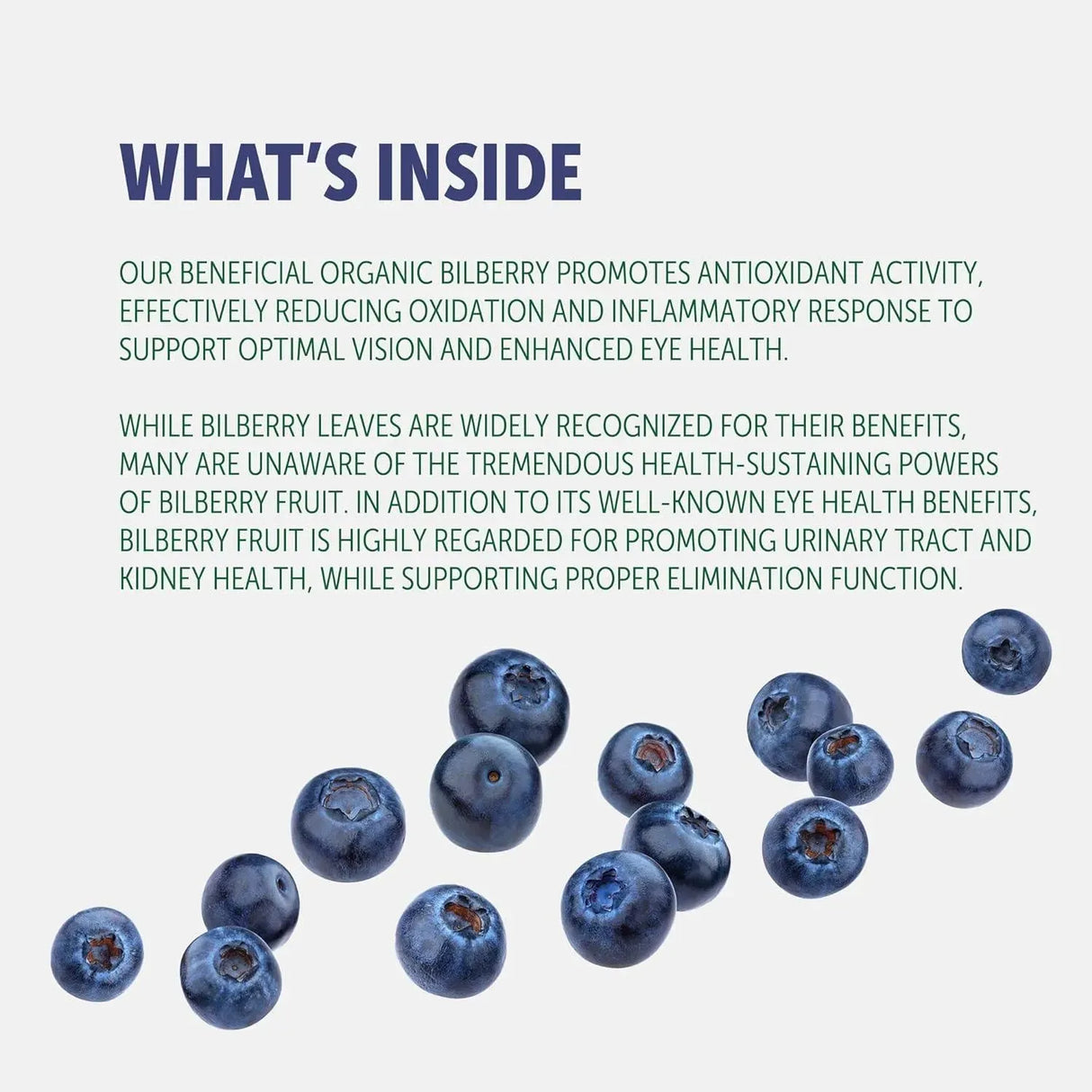 HEALTHFARE - Healthfare Bilberry Extract 5000Mg. 200 Capsulas - The Red Vitamin MX - Suplementos Alimenticios - {{ shop.shopifyCountryName }}