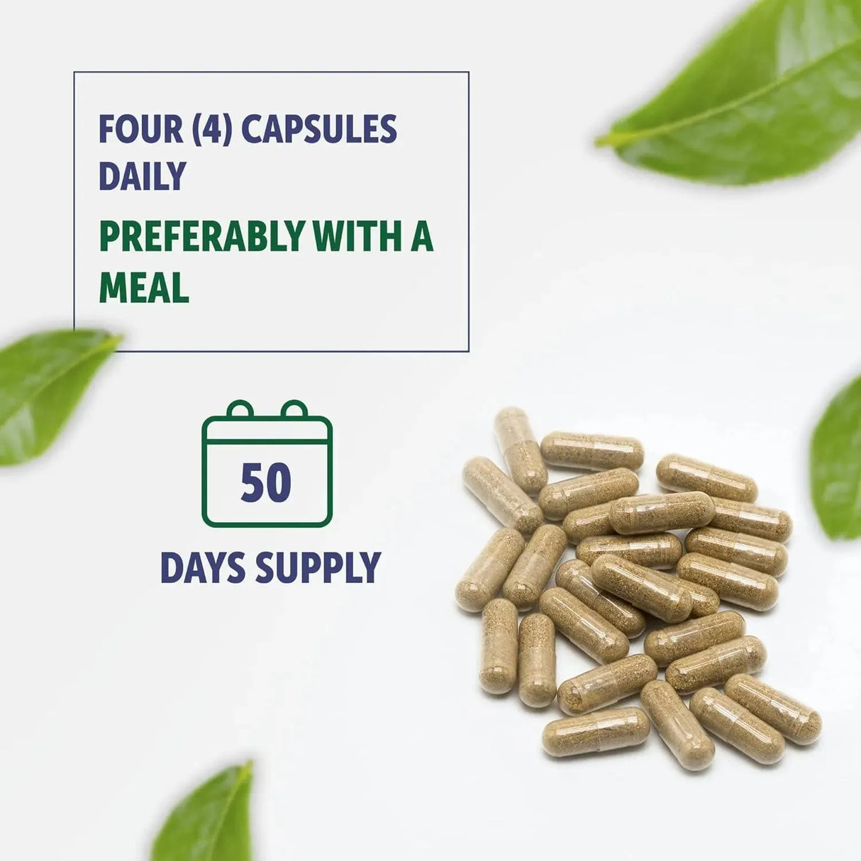 HEALTHFARE - Healthfare Bilberry Extract 5000Mg. 200 Capsulas - The Red Vitamin MX - Suplementos Alimenticios - {{ shop.shopifyCountryName }}