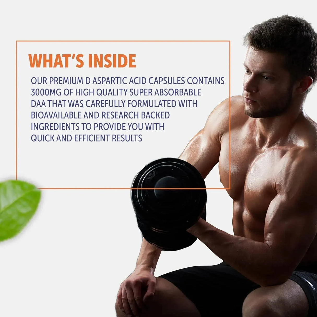 HEALTHFARE - Healthfare D-Aspartic Acid (DAA) 3000Mg. 200 Capsulas - The Red Vitamin MX - Suplementos Alimenticios - {{ shop.shopifyCountryName }}