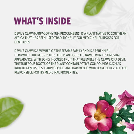 HEALTHFARE - Healthfare Devils Claw Herbal Supplement 2600Mg. 120 Capsulas - The Red Vitamin MX - Suplementos Alimenticios - {{ shop.shopifyCountryName }}