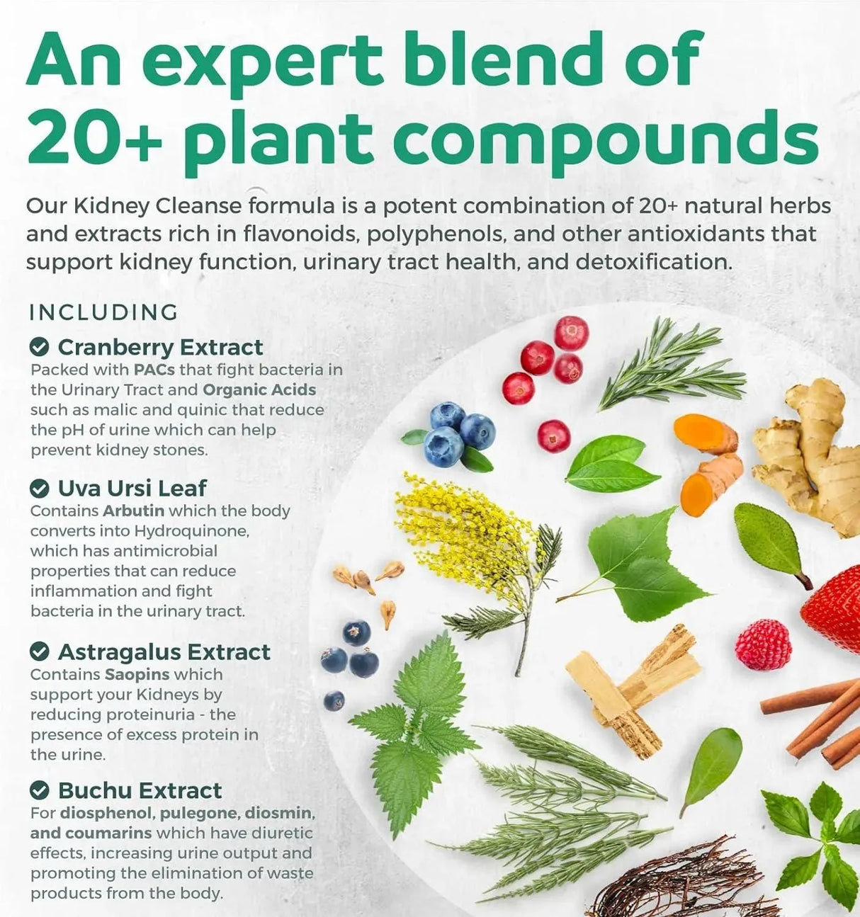 HEALTHS HARMONY - Healths Harmony Kidney Cleanse Detox & Repair 60 Capsulas - The Red Vitamin MX - Suplementos Alimenticios - {{ shop.shopifyCountryName }}