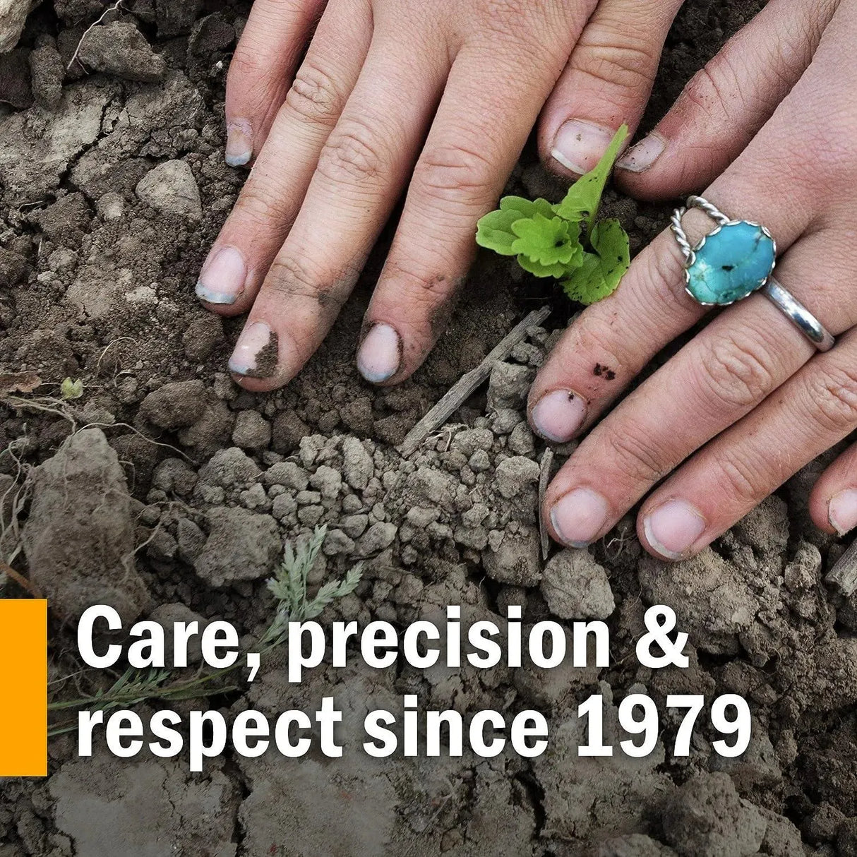 HERB PHARM - Herb Pharm Devil's Claw Liquid Extract 120Ml. - The Red Vitamin MX - Suplementos Alimenticios - {{ shop.shopifyCountryName }}