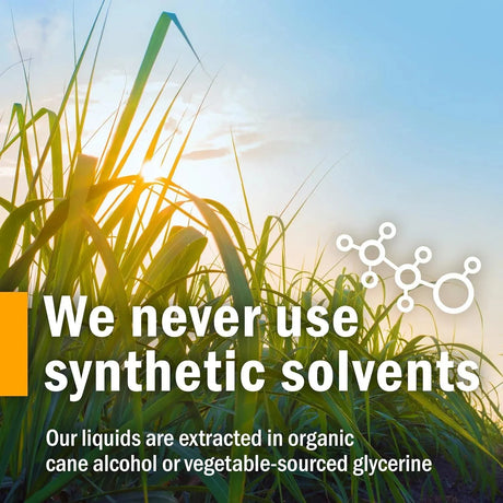 HERB PHARM - Herb Pharm Eleuthero Root Liquid 30Ml. - The Red Vitamin MX - Suplementos Alimenticios - {{ shop.shopifyCountryName }}