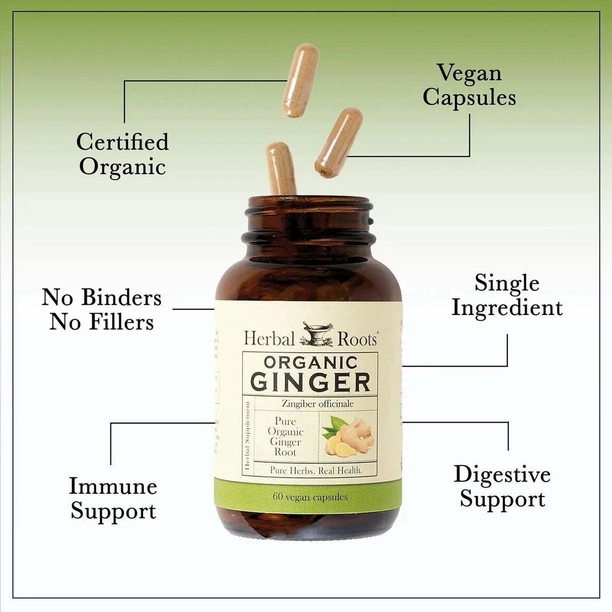 HERBAL ROOTS - Herbal Roots Ginger 1200Mg. 60 Capsulas - The Red Vitamin MX - Suplementos Alimenticios - {{ shop.shopifyCountryName }}
