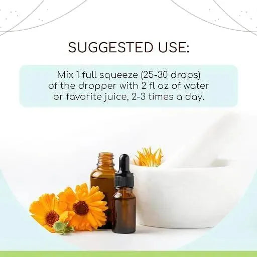 HERBERA - HerbEra Schisandra Extract Tincture 4 Fl.Oz. - The Red Vitamin MX - Suplementos Alimenticios - {{ shop.shopifyCountryName }}