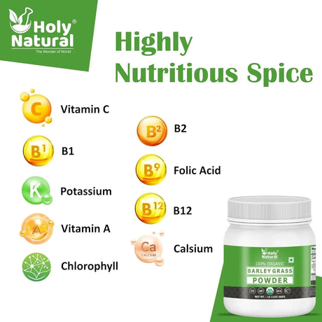 HOLY NATURAL - Holy Natural Organic Barley Grass Powder 400Gr. - The Red Vitamin MX - Suplementos Alimenticios - {{ shop.shopifyCountryName }}