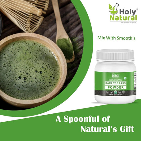 HOLY NATURAL - Holy Natural Organic Barley Grass Powder 400Gr. - The Red Vitamin MX - Suplementos Alimenticios - {{ shop.shopifyCountryName }}