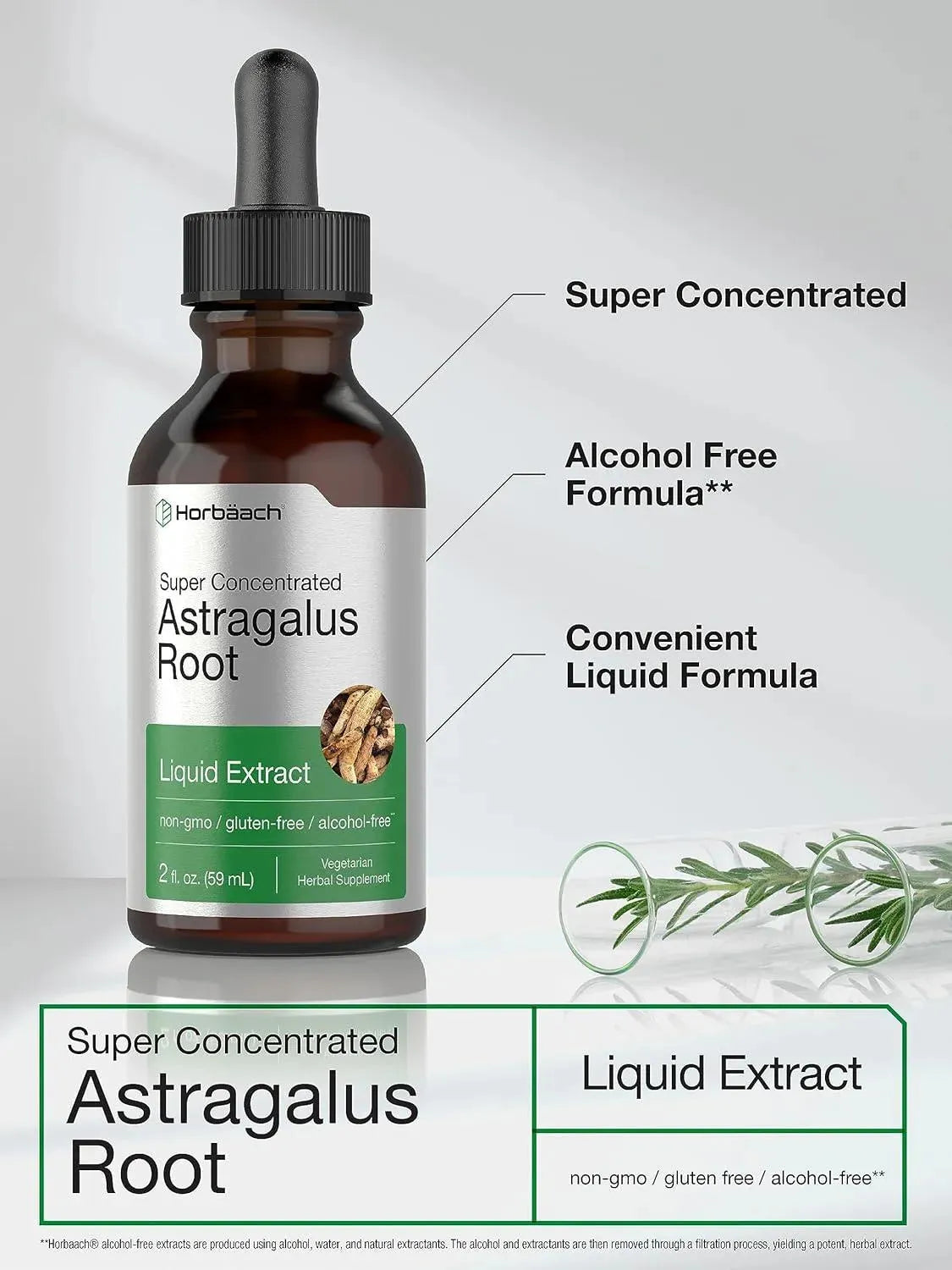 HORBAACH - Horbaach Astragalus Root Extract Liquid 59Ml. - The Red Vitamin MX - Suplementos Alimenticios - {{ shop.shopifyCountryName }}