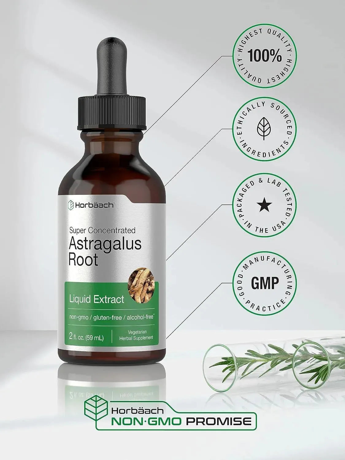 HORBAACH - Horbaach Astragalus Root Extract Liquid 59Ml. - The Red Vitamin MX - Suplementos Alimenticios - {{ shop.shopifyCountryName }}