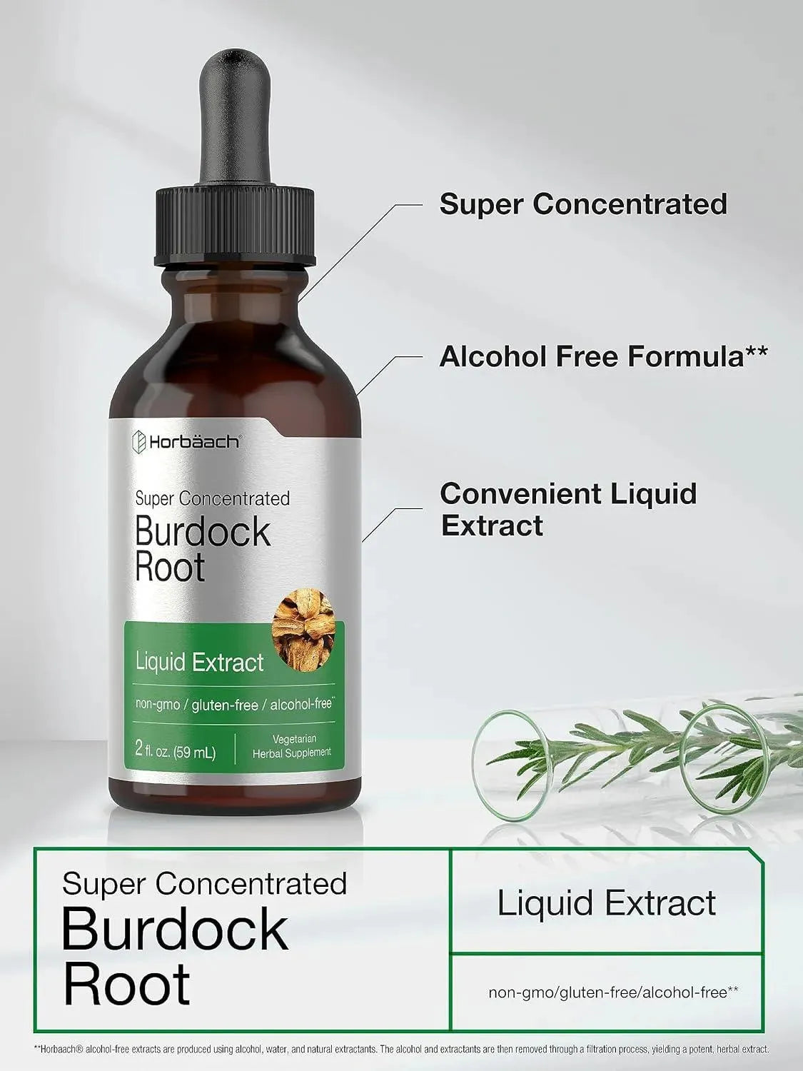 HORBAACH - Horbaach Burdock Root Tincture 2 Fl.Oz. - The Red Vitamin MX - Suplementos Alimenticios - {{ shop.shopifyCountryName }}