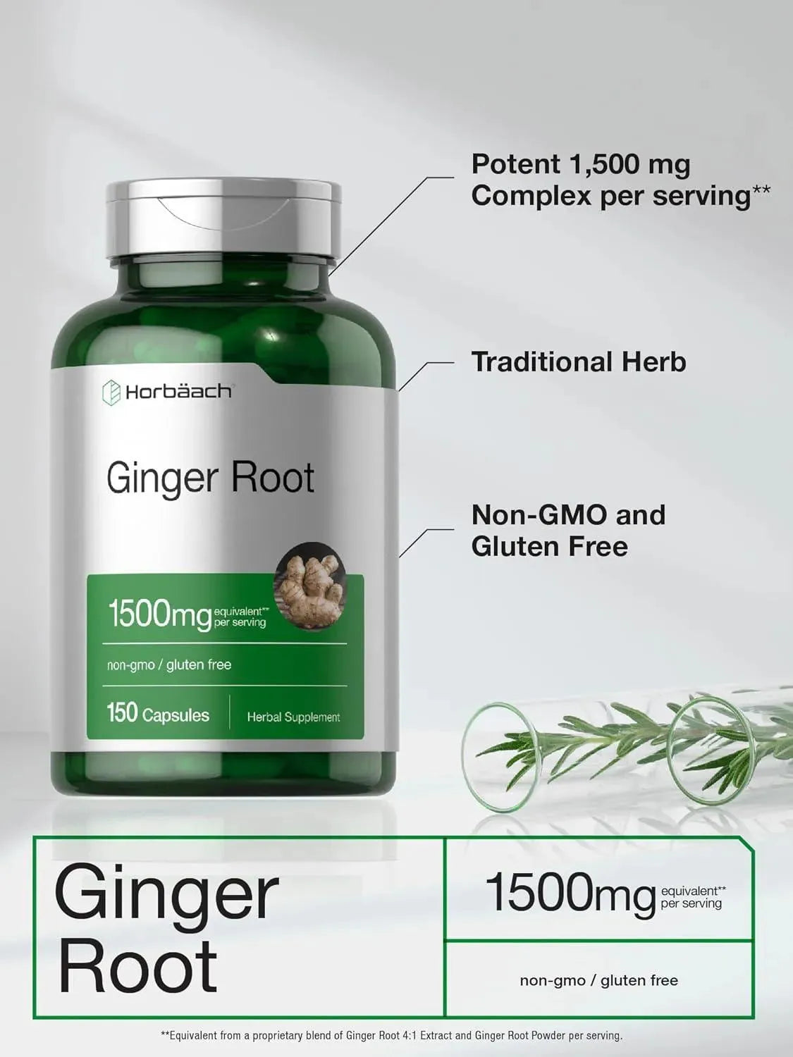 HORBAACH - Horbaach Ginger Root 1500Mg. 150 Capsulas - The Red Vitamin MX - Suplementos Alimenticios - {{ shop.shopifyCountryName }}