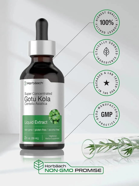 HORBAACH - Horbaach Gotu Kola Extract 59Ml. - The Red Vitamin MX - Suplementos Alimenticios - {{ shop.shopifyCountryName }}