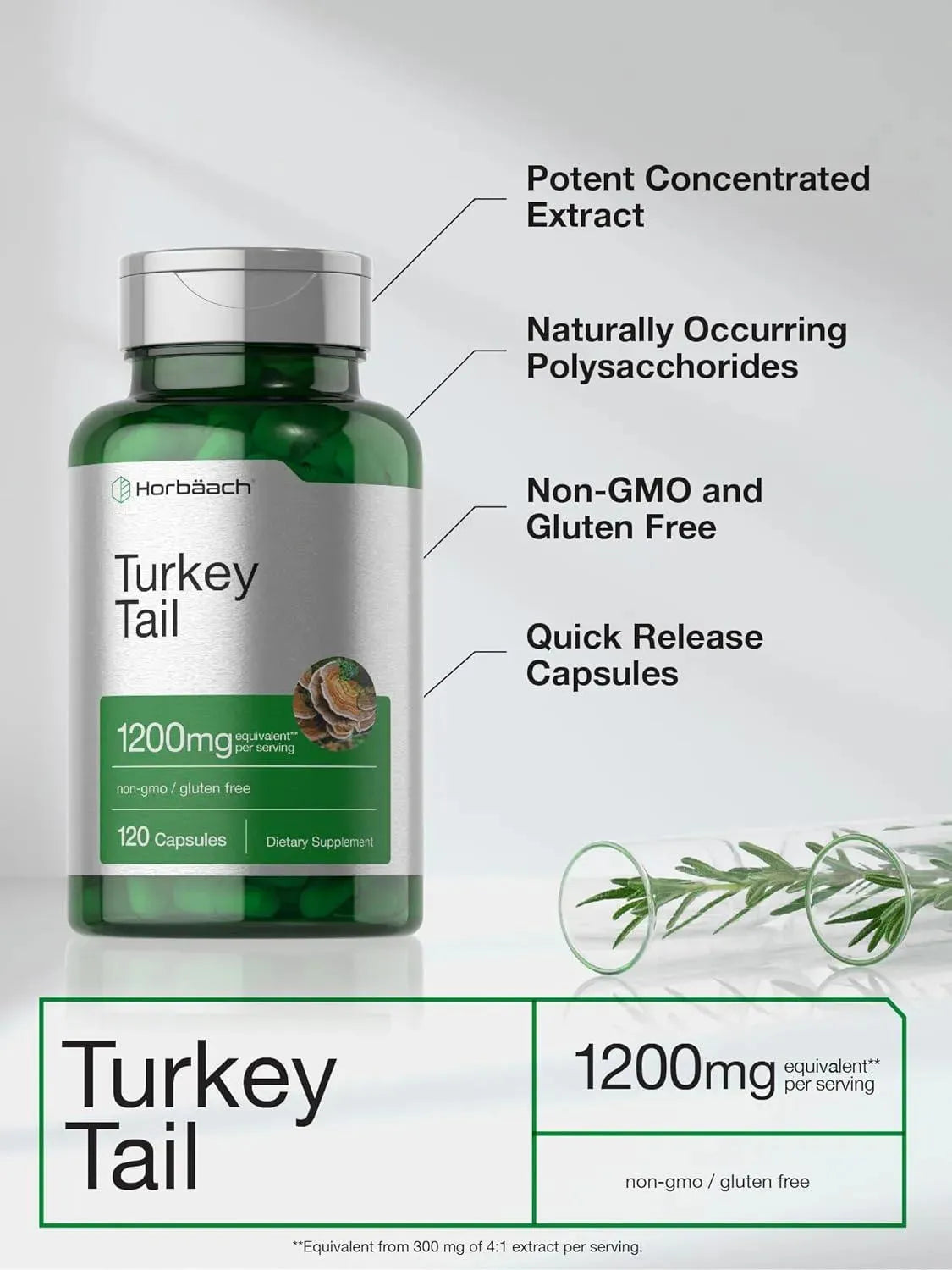 HORBAACH - Horbaach Turkey Tail Mushroom 1200Mg. 120 Capsulas - The Red Vitamin MX - Suplementos Alimenticios - {{ shop.shopifyCountryName }}