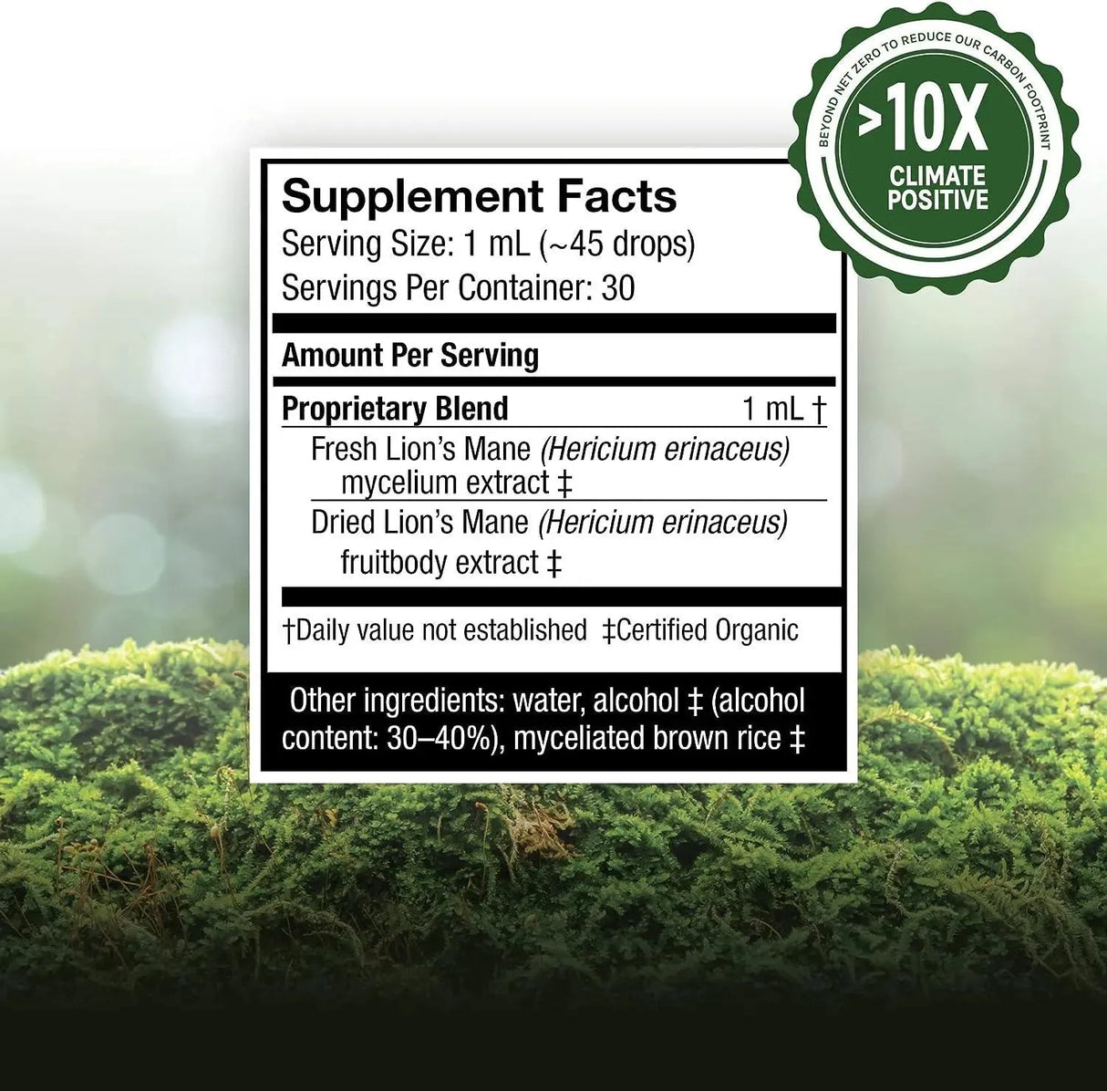 HOST DEFENSE - Host Defense, Lion's Mane Extract 1 Fl. Oz. - The Red Vitamin MX - Suplementos Alimenticios - {{ shop.shopifyCountryName }}