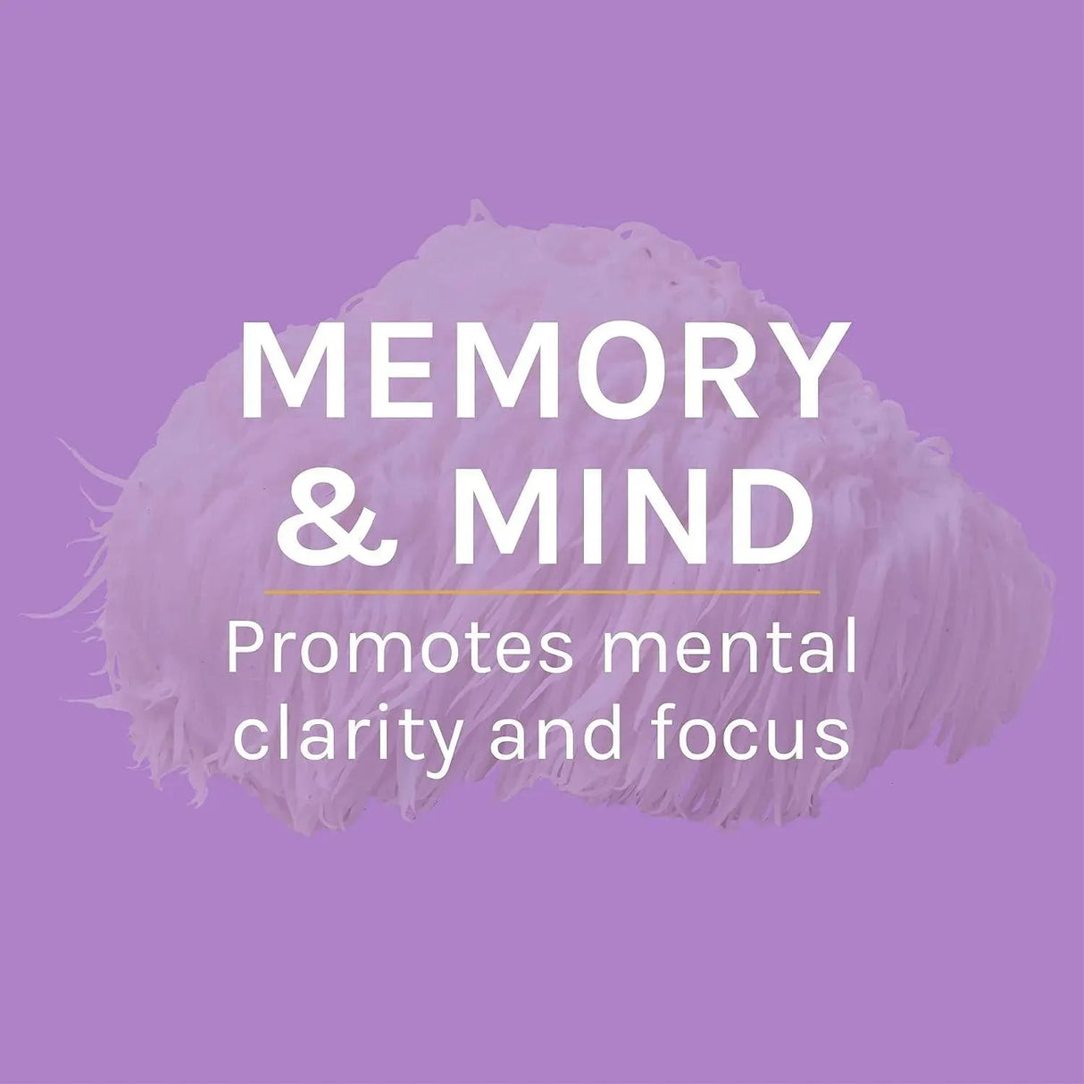 HOST DEFENSE - Host Defense Lion's Mane Powder 100Gr. - The Red Vitamin MX - Suplementos Alimenticios - {{ shop.shopifyCountryName }}