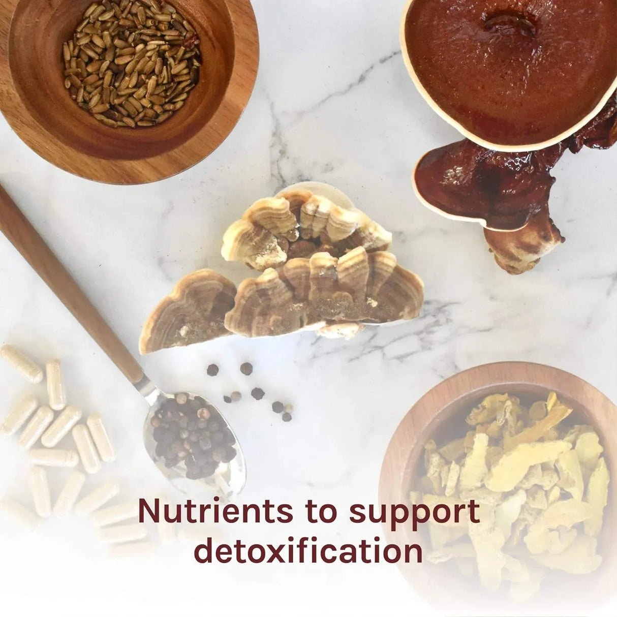 HOST DEFENSE - Host Defense MycoBotanicals Liver 60 Capsulas - The Red Vitamin MX - Suplementos Alimenticios - {{ shop.shopifyCountryName }}