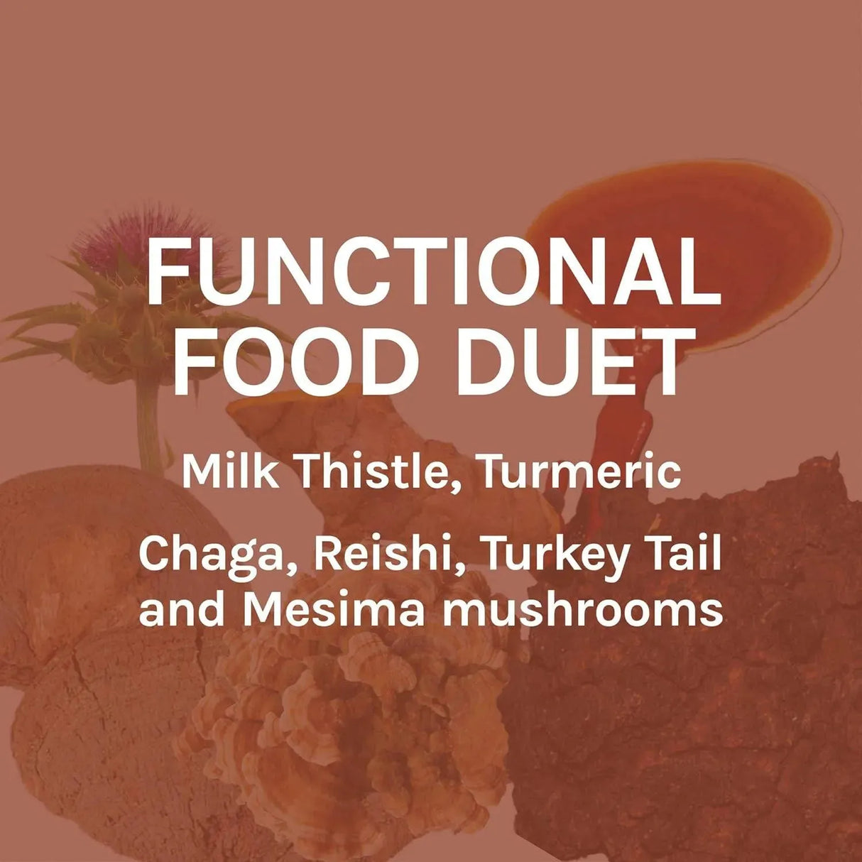 HOST DEFENSE - Host Defense MycoBotanicals Liver 60 Capsulas - The Red Vitamin MX - Suplementos Alimenticios - {{ shop.shopifyCountryName }}