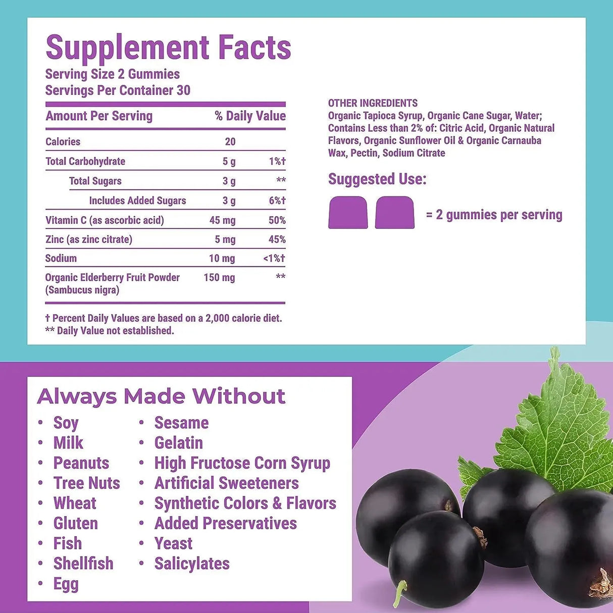 HYLAND´S - Hyland's Organic Sambucus Elderberry Gummies 120 Gomitas - The Red Vitamin MX - Suplementos Alimenticios - {{ shop.shopifyCountryName }}