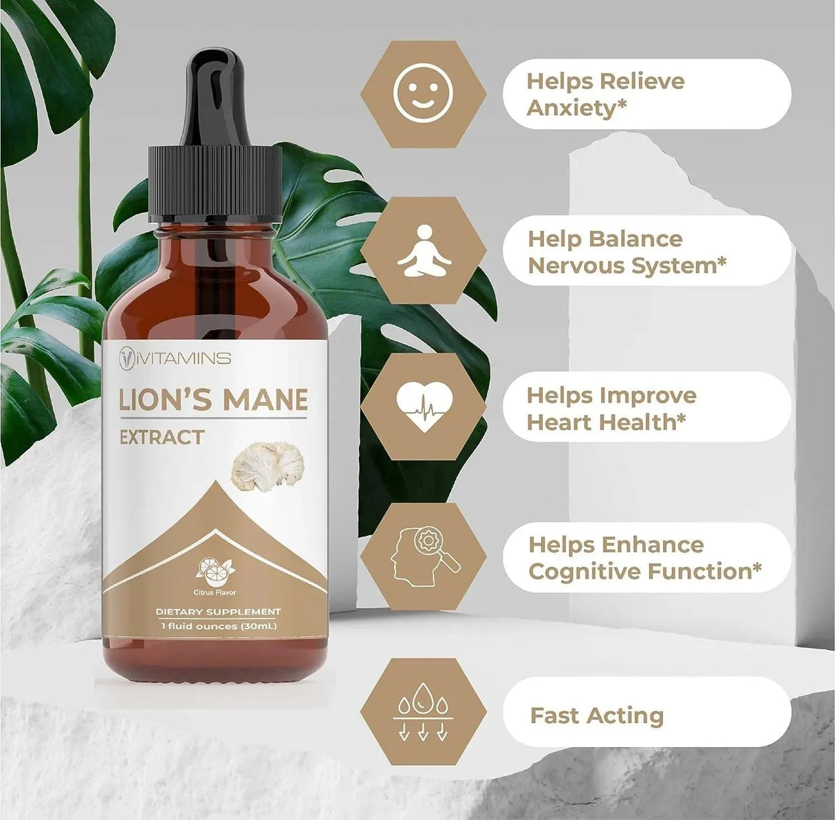 IVITAMINS - IVitamins Lions Mane Supplement 30Ml. 2 Pack - The Red Vitamin MX - Suplementos Alimenticios - {{ shop.shopifyCountryName }}