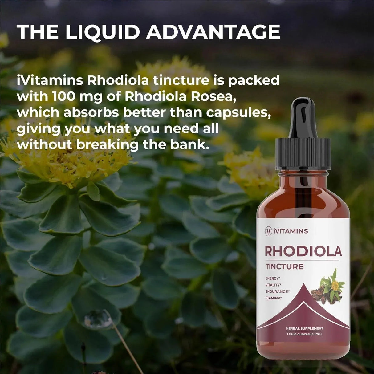 IVITAMINS - iVitamins Rhodiola Rosea Tincture 30Ml. - The Red Vitamin MX - Suplementos Alimenticios - {{ shop.shopifyCountryName }}