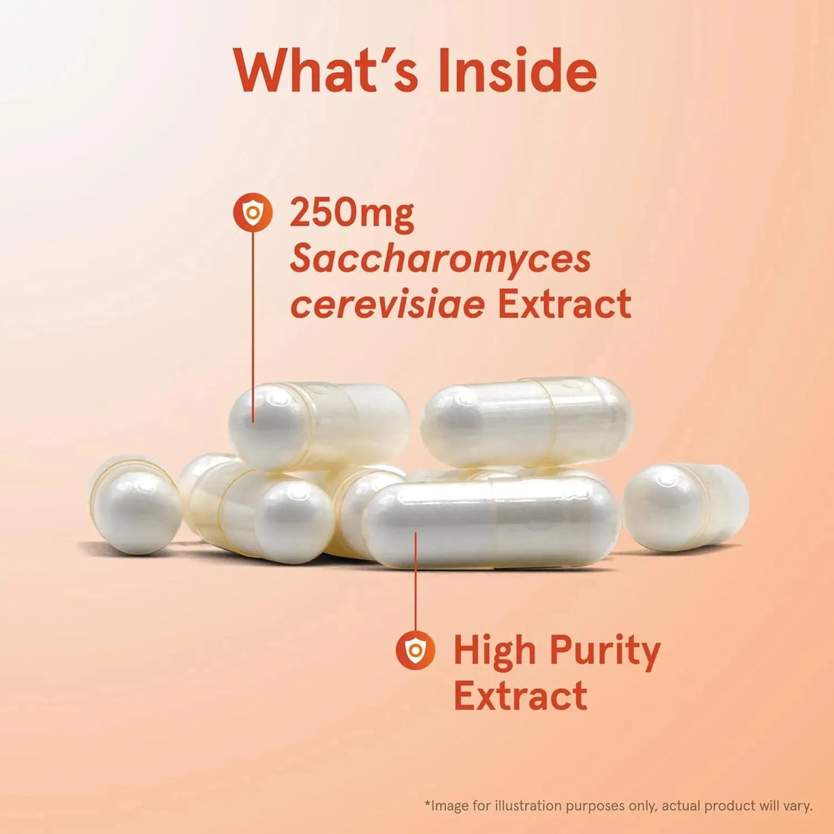 JARROW FORMULAS - Jarrow Formulas Beta Glucan 250Mg. 60 Capsulas - The Red Vitamin MX - Suplementos Alimenticios - {{ shop.shopifyCountryName }}