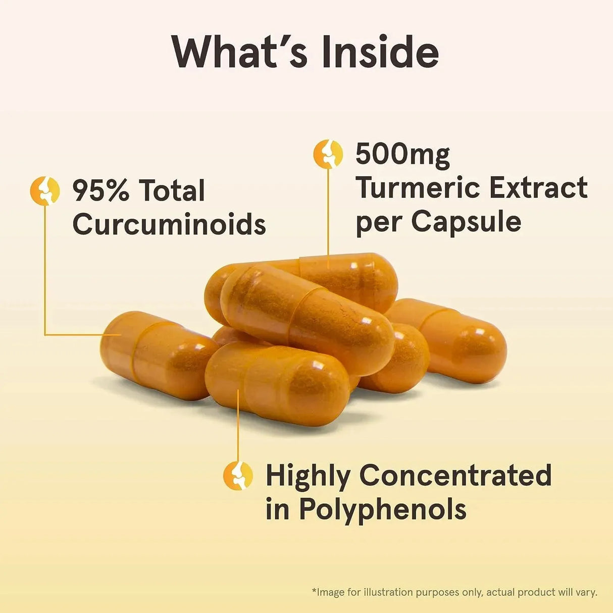 JARROW FORMULAS - Jarrow Formulas Curcumin 95 500Mg. 120 Capsulas - The Red Vitamin MX - Suplementos Alimenticios - {{ shop.shopifyCountryName }}